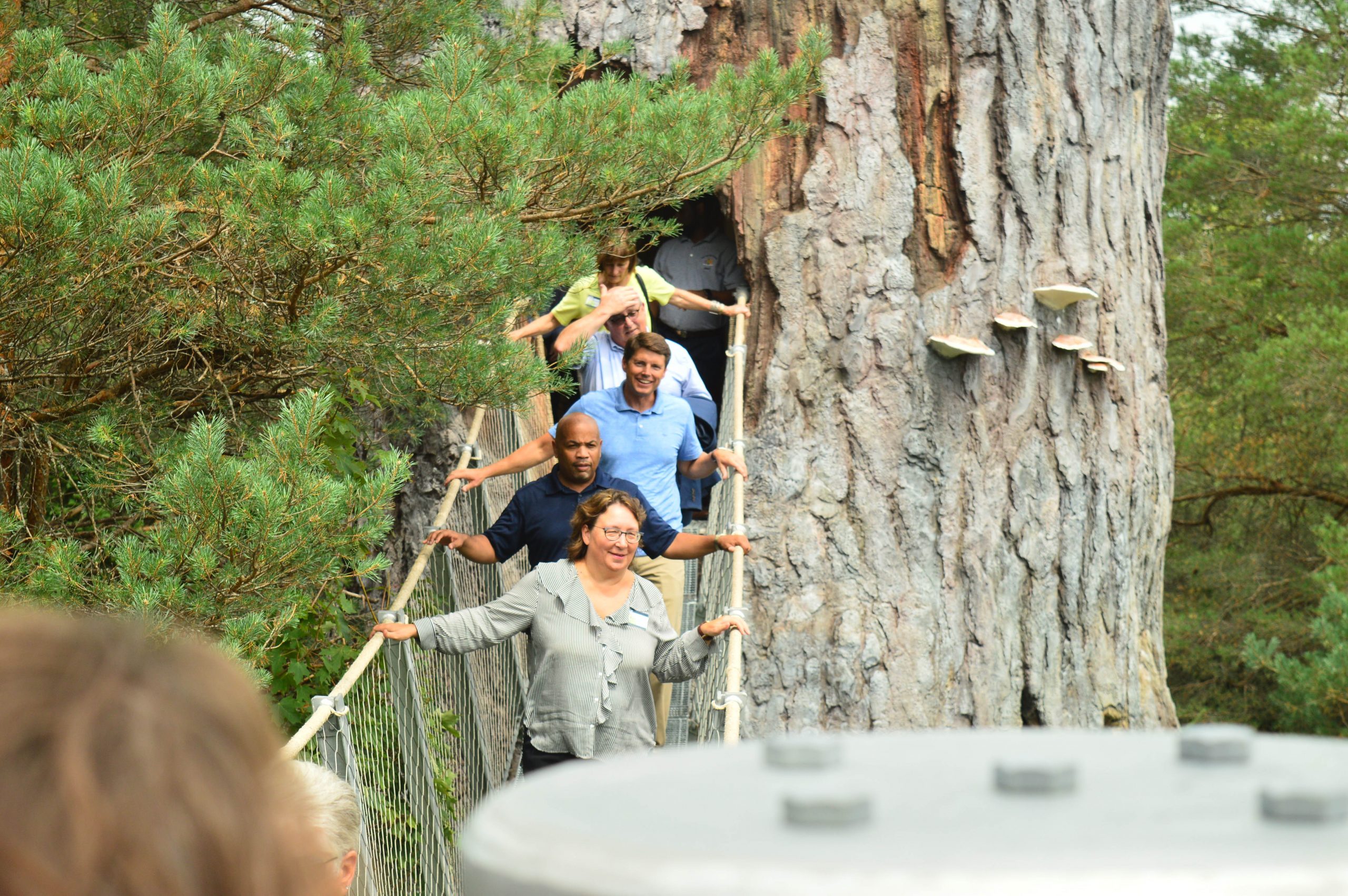 Wild Center reopens today, outdoors | News, Sports, Jobs - Adirondack